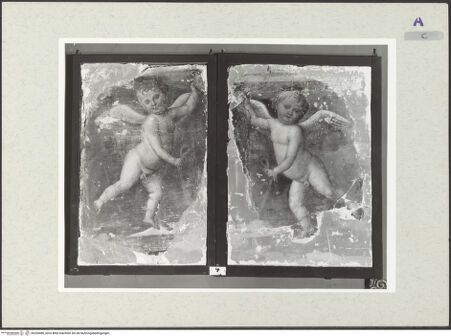 Vorderseite von bh254486_recto