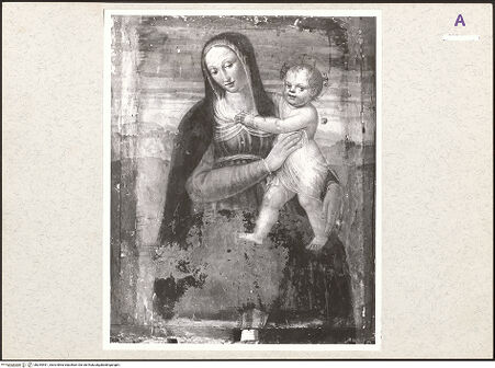 Vorderseite von bh254491_recto