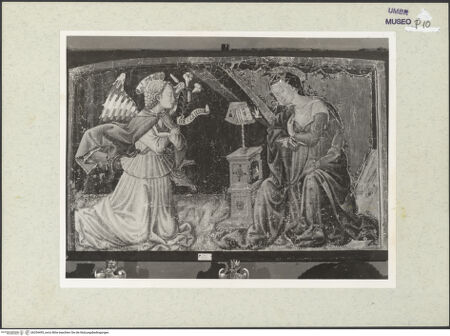 Vorderseite von bh254495_recto