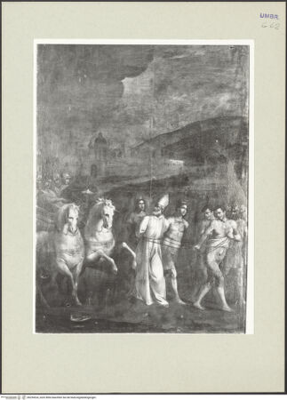 Vorderseite von bh254524_recto