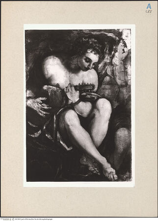 Vorderseite von bh254567_recto