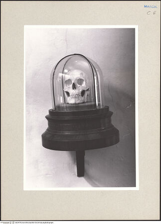 Vorderseite von bh254755_recto