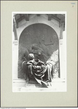 Vorderseite von bh254761_recto