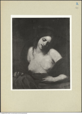 Vorderseite von bh254817_recto