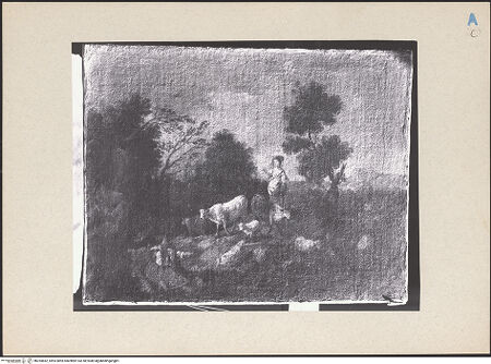 Vorderseite von bh254842_recto