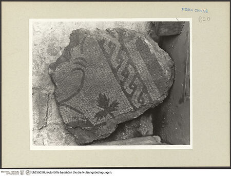 Vorderseite von bh255020_recto