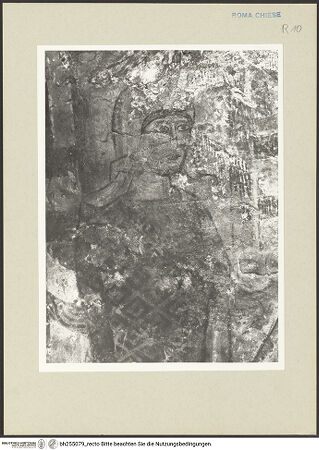 Vorderseite von bh255079_recto