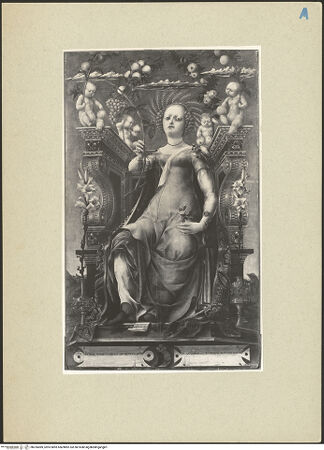 Vorderseite von bh255089_recto