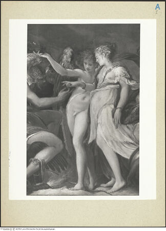 Vorderseite von bh255241_recto