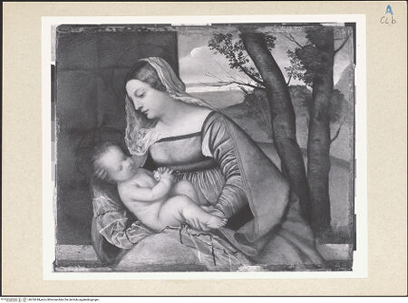 Vorderseite von bh255244_recto