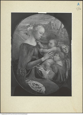 Vorderseite von bh255316_recto