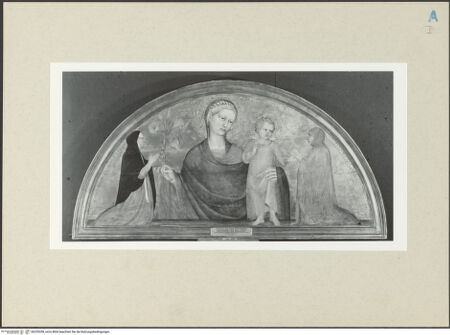 Vorderseite von bh255358_recto