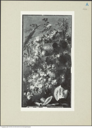 Vorderseite von bh255369_recto