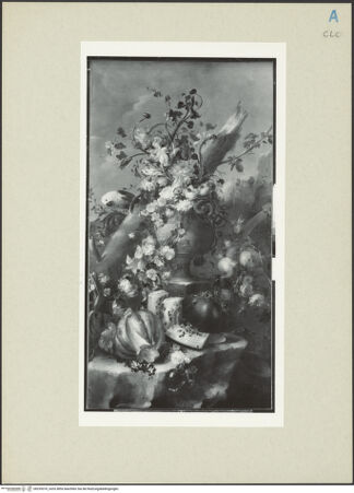 Vorderseite von bh255370_recto