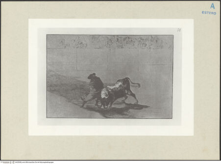 Vorderseite von bh255383_recto