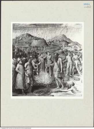 Vorderseite von bh255452_recto