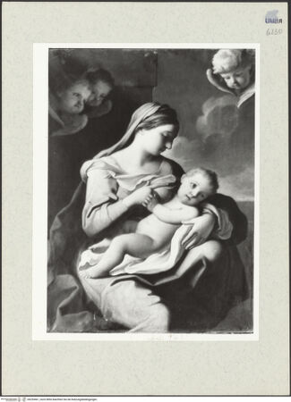 Vorderseite von bh255461_recto