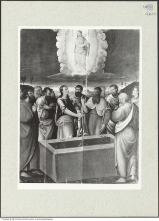 Vorderseite von bh255468_recto