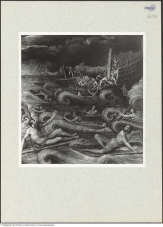 Vorderseite von bh255483_recto