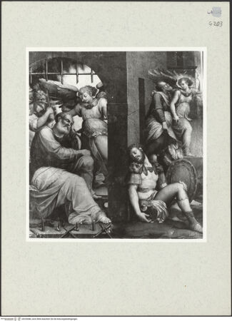 Vorderseite von bh255486_recto