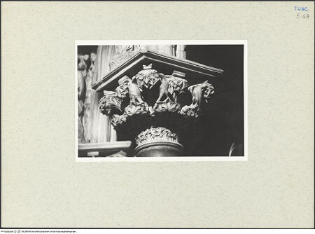 Vorderseite von bh255584_recto