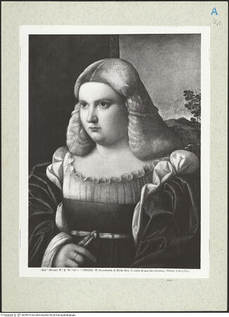 Vorderseite von bh255614_recto