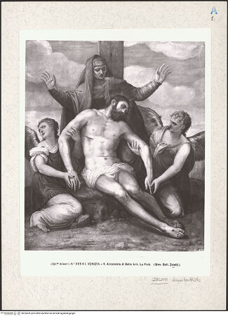 Vorderseite von bh255639_recto