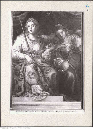 Vorderseite von bh255642_recto