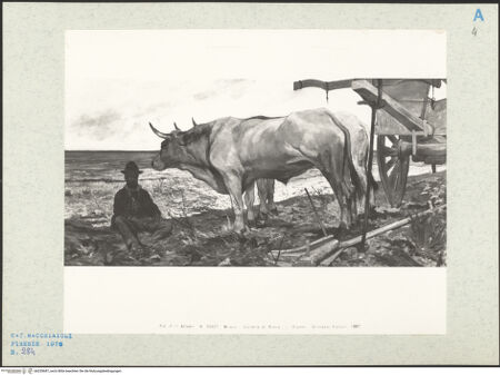 Vorderseite von bh255687_recto