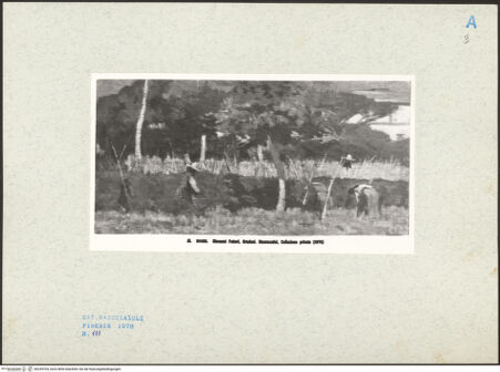 Vorderseite von bh255704_recto