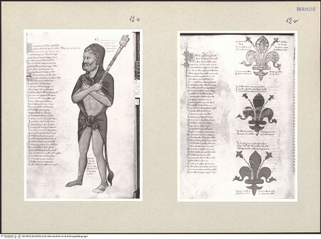 Vorderseite von bh255932_bh255933_recto