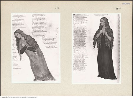 Vorderseite von bh255934_bh255935_recto