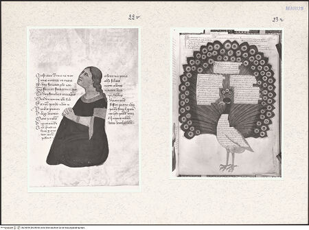 Vorderseite von bh255949_bh255950_recto