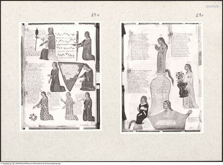 Vorderseite von bh255955_bh255956_recto