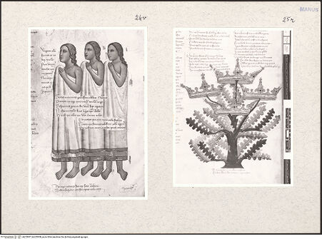 Vorderseite von bh255957_bh255958_recto