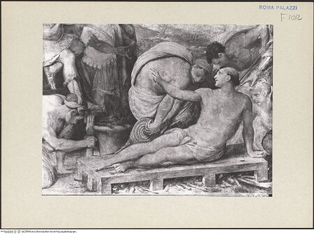 Vorderseite von bh255984_recto