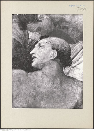 Vorderseite von bh255985_recto