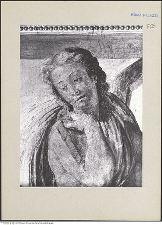 Vorderseite von bh255989_recto