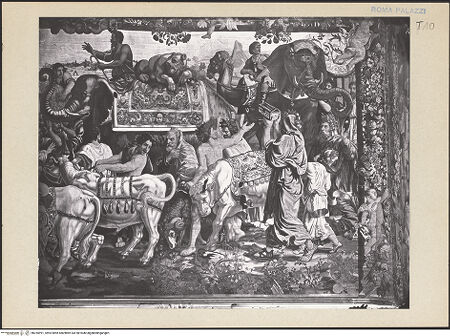 Vorderseite von bh255991_recto