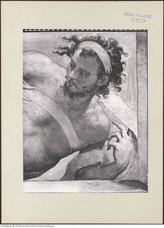 Vorderseite von bh255995_recto