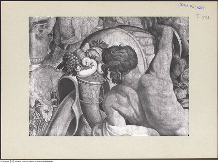 Vorderseite von bh256005_recto