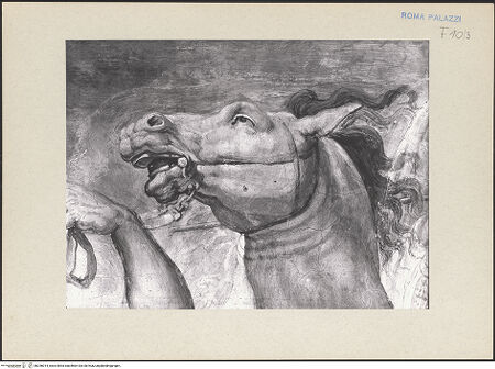 Vorderseite von bh256014_recto