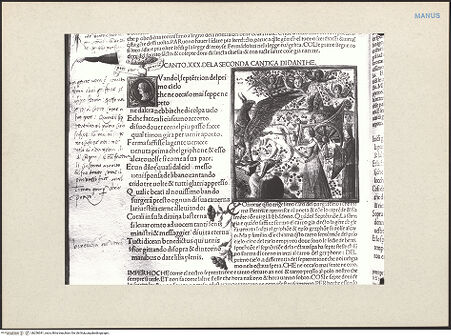 Vorderseite von bh256041_recto