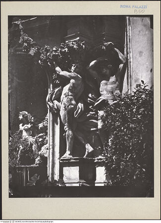 Vorderseite von bh256052_recto