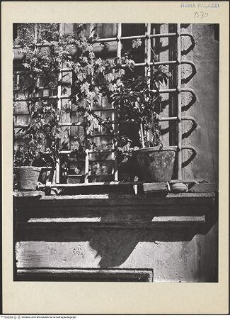 Vorderseite von bh256054_recto