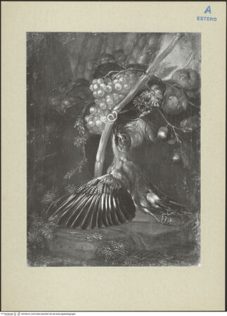 Vorderseite von bh256070_recto