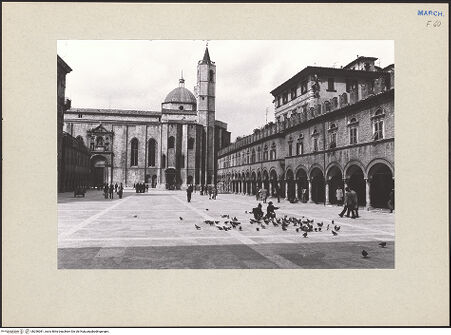 Vorderseite von bh256081_recto