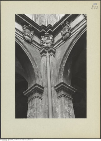 Vorderseite von Tuttle, Richard [https://www.deutsche-digitale-bibliothek.de/content/lizenzen/rv-ez/] Archiginnasio - Eckpfeiler, Detail, bh256380_recto. Foto: Tuttle, Richard.