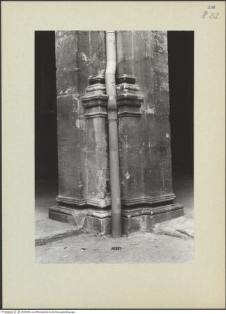 Vorderseite von Tuttle, Richard [https://www.deutsche-digitale-bibliothek.de/content/lizenzen/rv-ez/] Archiginnasio - Eckpfeiler, Detail, bh256383_recto. Foto: Tuttle, Richard.