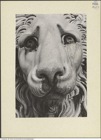 Vorderseite von bh256426_recto